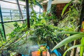 Celeste Mountain Lodge: Mountain Hotel/Resort/Hostel For Sale in Bijagua