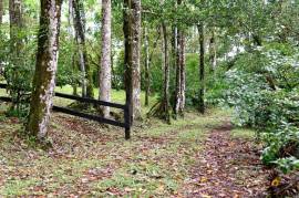 Finca Macadamia: 154-acre Rainforest Paradise with two Houses and Trails!