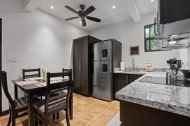 Laughing Gecko Suites: Beach Suites / Boutique Hotel For Sale