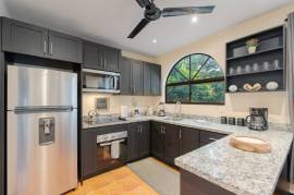 Laughing Gecko Suites: Beach Suites / Boutique Hotel For Sale