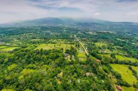 Casitas Tenorio B&B: Turnkey Eco-Lodge in Bijagua: Profitable Business, Sustainable Luxury, and Breathtaking Nature