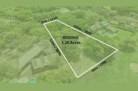 Rare Golf Front Estate Parcel: No HOA | 5,000m2 in Hacienda Pinilla