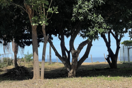 Surfside Lot Y22: One of the Only Remaining BEACHFRONT Lots in Playa Potrero with Water!!