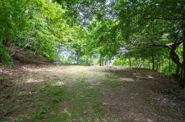 El Tesoro Lot: Premier Ocean-View Homesite in Tamarindo