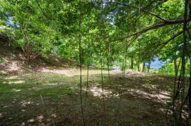 El Tesoro Lot: Premier Ocean-View Homesite in Tamarindo