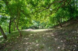 El Tesoro Lot: Premier Ocean-View Homesite in Tamarindo