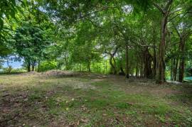 El Tesoro Lot: Premier Ocean-View Homesite in Tamarindo
