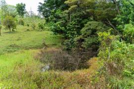 Finca Las Zompopas-Rio Celeste: 113-Acre Biodiverse Property in Bijagua, Ideal for Eco-Tourism, Private Retreats, or Sustainable Development