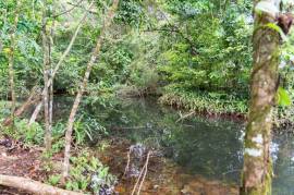 Finca Las Zompopas-Rio Celeste: 113-Acre Biodiverse Property in Bijagua, Ideal for Eco-Tourism, Private Retreats, or Sustainable Development