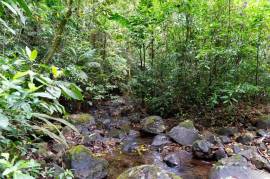 Finca Las Zompopas-Rio Celeste: 113-Acre Biodiverse Property in Bijagua, Ideal for Eco-Tourism, Private Retreats, or Sustainable Development