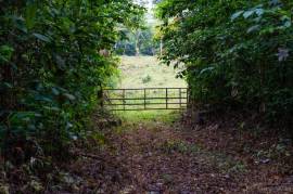 Finca Las Zompopas-Rio Celeste: 113-Acre Biodiverse Property in Bijagua, Ideal for Eco-Tourism, Private Retreats, or Sustainable Development