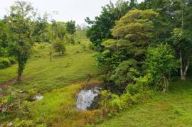 Finca Las Zompopas-Rio Celeste: 113-Acre Biodiverse Property in Bijagua, Ideal for Eco-Tourism, Private Retreats, or Sustainable Development