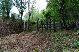 Finca Las Zompopas-Rio Celeste: 113-Acre Biodiverse Property in Bijagua, Ideal for Eco-Tourism, Private Retreats, or Sustainable Development