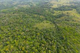 Finca Las Zompopas-Rio Celeste: 113-Acre Biodiverse Property in Bijagua, Ideal for Eco-Tourism, Private Retreats, or Sustainable Development