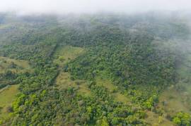 Finca Las Zompopas-Rio Celeste: 113-Acre Biodiverse Property in Bijagua, Ideal for Eco-Tourism, Private Retreats, or Sustainable Development