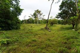 Finca Las Zompopas-Rio Celeste: 113-Acre Biodiverse Property in Bijagua, Ideal for Eco-Tourism, Private Retreats, or Sustainable Development