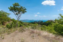 Miramar Ocean View Lot: Unmatched Views from this Spectacular Piece of Land in Pacific Heights