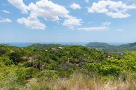 Miramar Ocean View Lot: Unmatched Views from this Spectacular Piece of Land in Pacific Heights