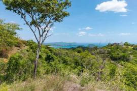 Miramar Ocean View Lot: Unmatched Views from this Spectacular Piece of Land in Pacific Heights