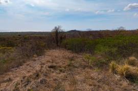Los Pargos Lot 4-18: Countryside, Mountain and Near the Coast Agricultural Land For Sale in Playa Negra