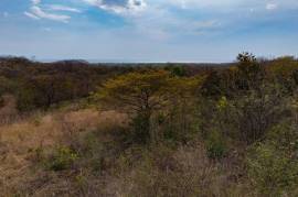 Los Pargos Lot 4-18: Countryside, Mountain and Near the Coast Agricultural Land For Sale in Playa Negra