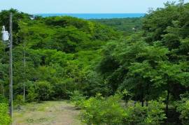 T-Eric Finca Los Pargos: Near the Coast Home Construction Site For Sale in Finca Los Pargos