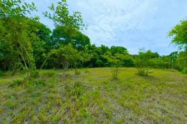 T-Eric Finca Los Pargos: Near the Coast Home Construction Site For Sale in Finca Los Pargos