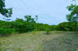 T-Eric Finca Los Pargos: Near the Coast Home Construction Site For Sale in Finca Los Pargos