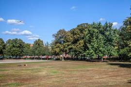 Ready to move: South-Facing 3-room apartment next to Brusseler Kiez Wedding