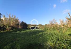 House with 2+2 Bedrooms in Benfeitoria - Arrifes - Ponta Delgada