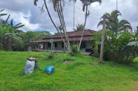 Emigrating to Bahia - farm paradise near Ilhéus with 140 ha
