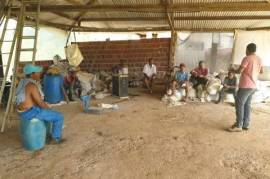 Emigrating to Bahia - farm paradise near Ilhéus with 140 ha