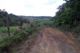 Emigrating to Bahia - farm paradise near Ilhéus with 140 ha