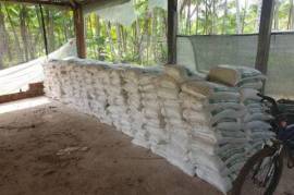 Emigrating to Bahia - farm paradise near Ilhéus with 140 ha